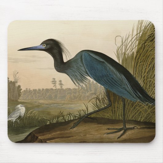アオサギ Audubon 版画 海岸の芸術 マウスパッド (正面)