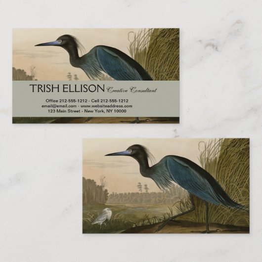 アオサギ Audubon 版画 海岸の芸術 名刺 (正面/裏面)