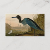 アオサギ Audubon 版画 海岸の芸術 名刺 (裏面)