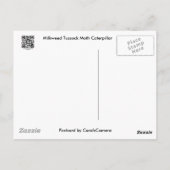 アオスジアゲハの幼虫のアイテム ポストカード (裏面)