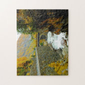 アオスタバレーイタリア。 ジグソーパズル (縦)