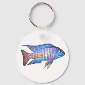 アオノカラクジャク キーホルダー