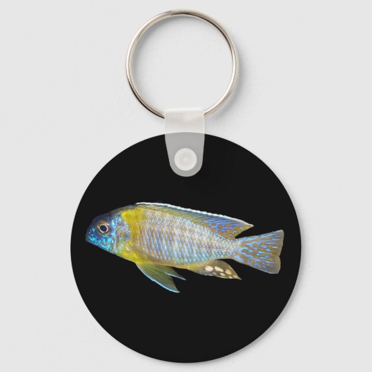 アオノカラ・ステヴェニ・キーチェーン キーホルダー (正面)