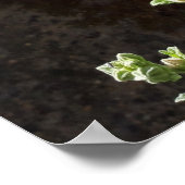 アオホリ花、アルセア・アルバ ポスター (角)