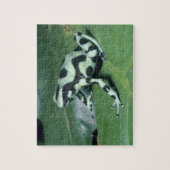 アオヤドクガエル (Dendrobates auratus) カウィタ ジグソーパズル (縦)