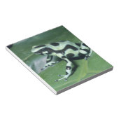 アオヤドクガエル (Dendrobates auratus) カウィタ ノートパッド (アングル)