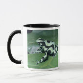 アオヤドクガエル (Dendrobates auratus) カウィタ マグカップ (左)