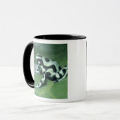 アオヤドクガエル (Dendrobates auratus) カウィタ マグカップ (正面左)