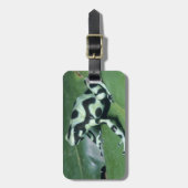アオヤドクガエル (Dendrobates auratus) カウィタ ラゲッジタグ (正面縦)