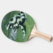 アオヤドクガエル (Dendrobates auratus) カウィタ 卓球ラケット (横)