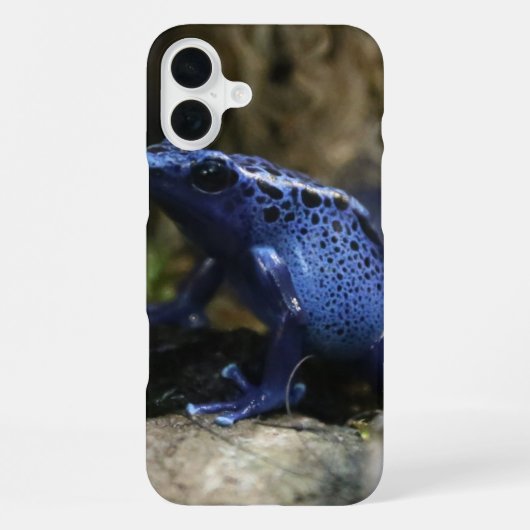 アオヤドクガエル iPhoneケース (裏面)