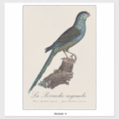 アカアシインコまたはスワンプパラキート、Pezoporus Wallicus シール (シート)