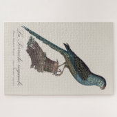 アカアシインコまたはスワンプパラキート、Pezoporus Wallicus ジグソーパズル (横)