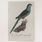 アカアシインコまたはスワンプパラキート、Pezoporus Wallicus ジグソーパズル (縦)