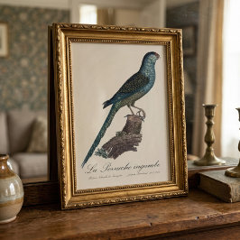 アカアシインコまたはスワンプパラキート、Pezoporus Wallicus フォトプリント