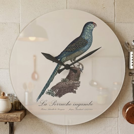 アカアシインコまたはスワンプパラット、Pezoporus Wallicus ラージ壁時計