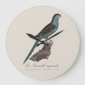 アカアシインコまたはスワンプパラット、Pezoporus Wallicus ラージ壁時計 (正面)