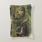 アカアシカ – オードボン四肢動物 アクセントクッション (正面(垂直))