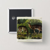 アカアシカ – オードボン四肢動物 缶バッジ (正面&裏面)