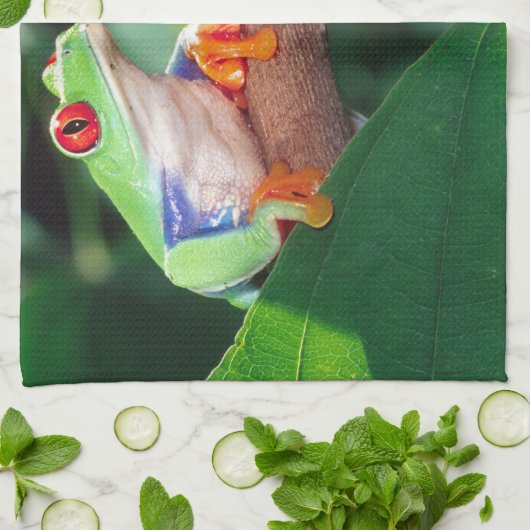 アカアシガエルの赤い眼のカエルのペア、アガリキヌス・カリドライアス。 キッチンタオル (折り畳み)