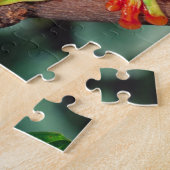 アカアシガエルの赤い眼のカエルのペア、アガリキヌス・カリドライアス。 ジグソーパズル (側面)