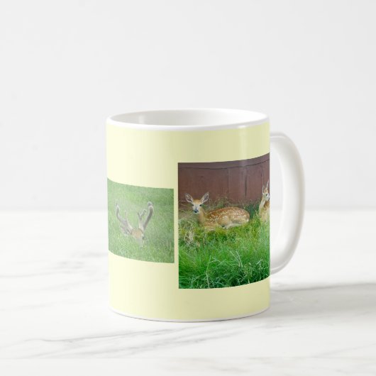 アカアシガエル コーヒーマグカップ (正面右)