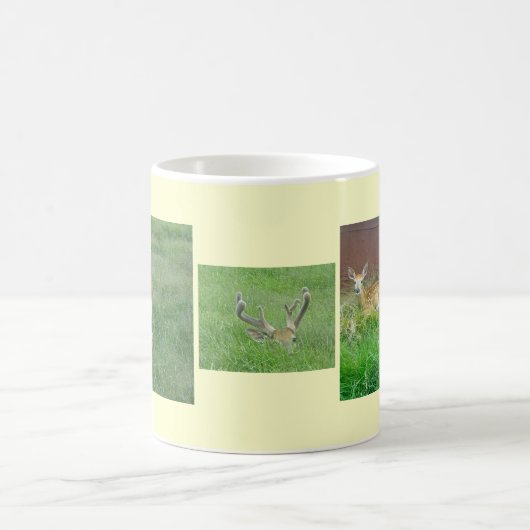 アカアシガエル コーヒーマグカップ (中央)