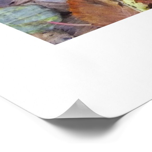 アカアシガエル ポスター (角)