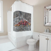 アカアシガニ シャワーカーテン (インサイチュ)