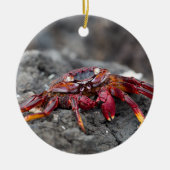 アカアシガニ セラミックオーナメント (正面)