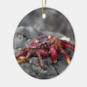 アカアシガニ セラミックオーナメント (左)
