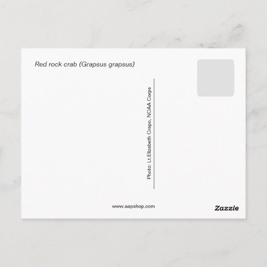 アカアシガニ ポストカード (裏面)