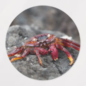 アカアシガニ ラベル (デザイン1)