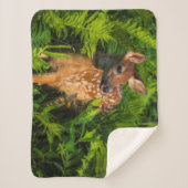 アカアシガノガエル |ミネソタ シェルパブランケット (正面)