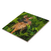 アカアシガノガエル |ミネソタ タイル (側面)