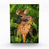 アカアシガノガエル |ミネソタ フォトブロック (正面)