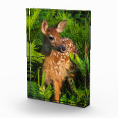 アカアシガノガエル |ミネソタ フォトブロック (右)