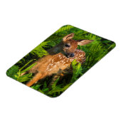 アカアシガノガエル |ミネソタ マグネット (左側)