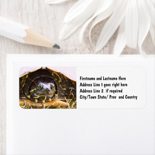 アカアシガメ頭 ラベル (インサイチュ)