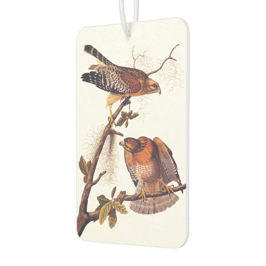 アカアシタカの猛禽 カーエアーフレッシュナー (左)