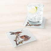 アカアシタカの猛禽 ガラスコースター (アングル)