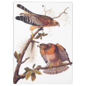 アカアシタカの猛禽 クリップボード (裏面)