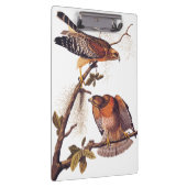 アカアシタカの猛禽 クリップボード (右)