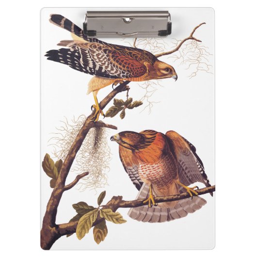 アカアシタカの猛禽 クリップボード (正面)