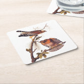 アカアシタカの猛禽 スクエアペーパーコースター (アングル)