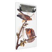 アカアシタカの猛禽 ミニクリップボード (アングル)