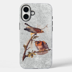 アカアシタカの猛禽 iPhone 16 PLUSケース