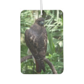 アカアシタカ カーエアーフレッシュナー (正面)