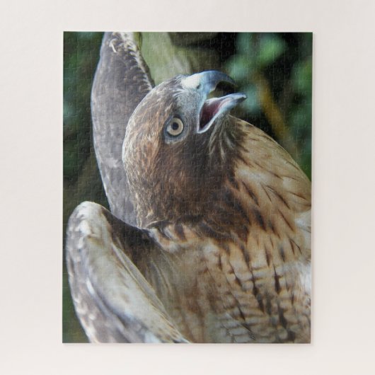 アカアシタカ ジグソーパズル (縦)