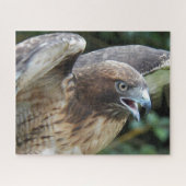 アカアシタカ ジグソーパズル (横)